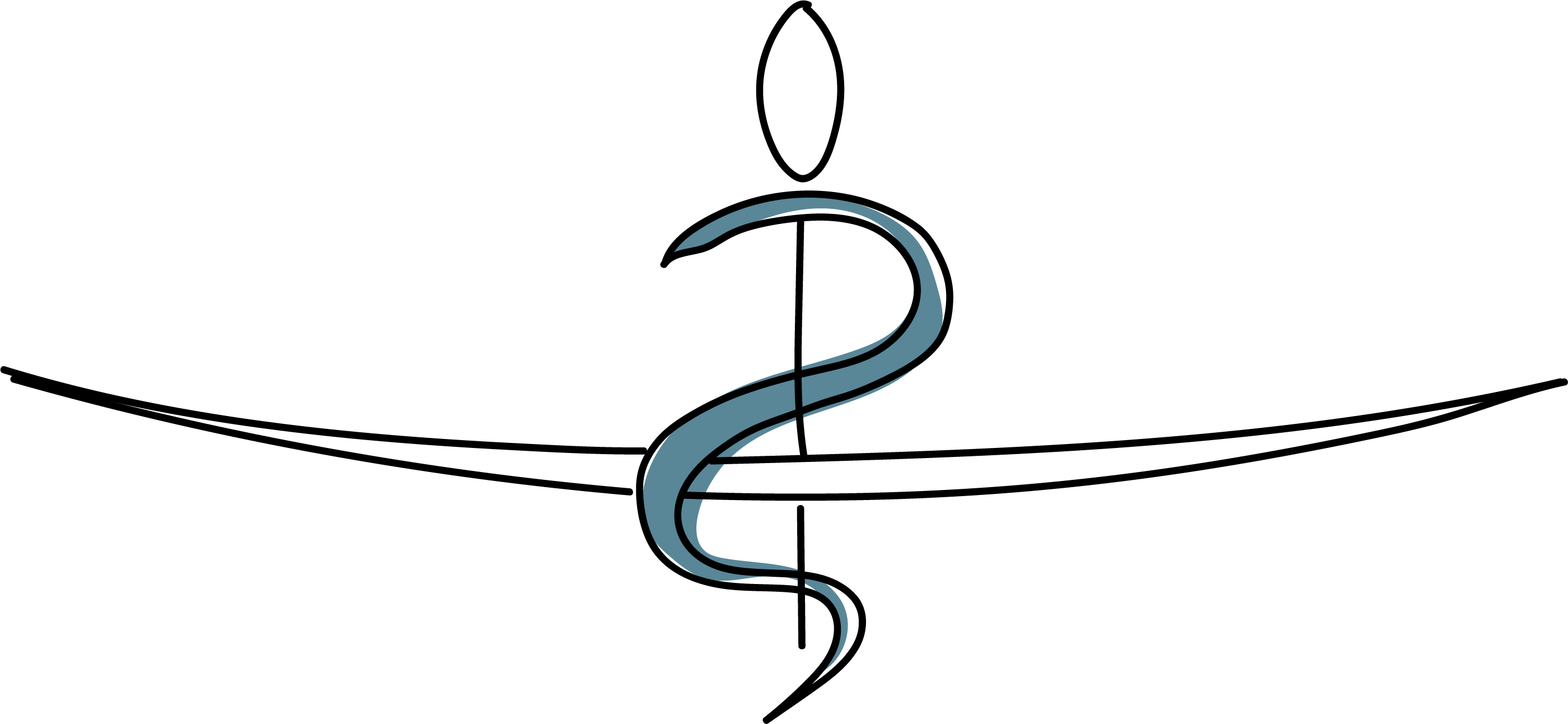 Logo du Conseil de l'Ordre des Médecins des Pyrénées-Atlantiques