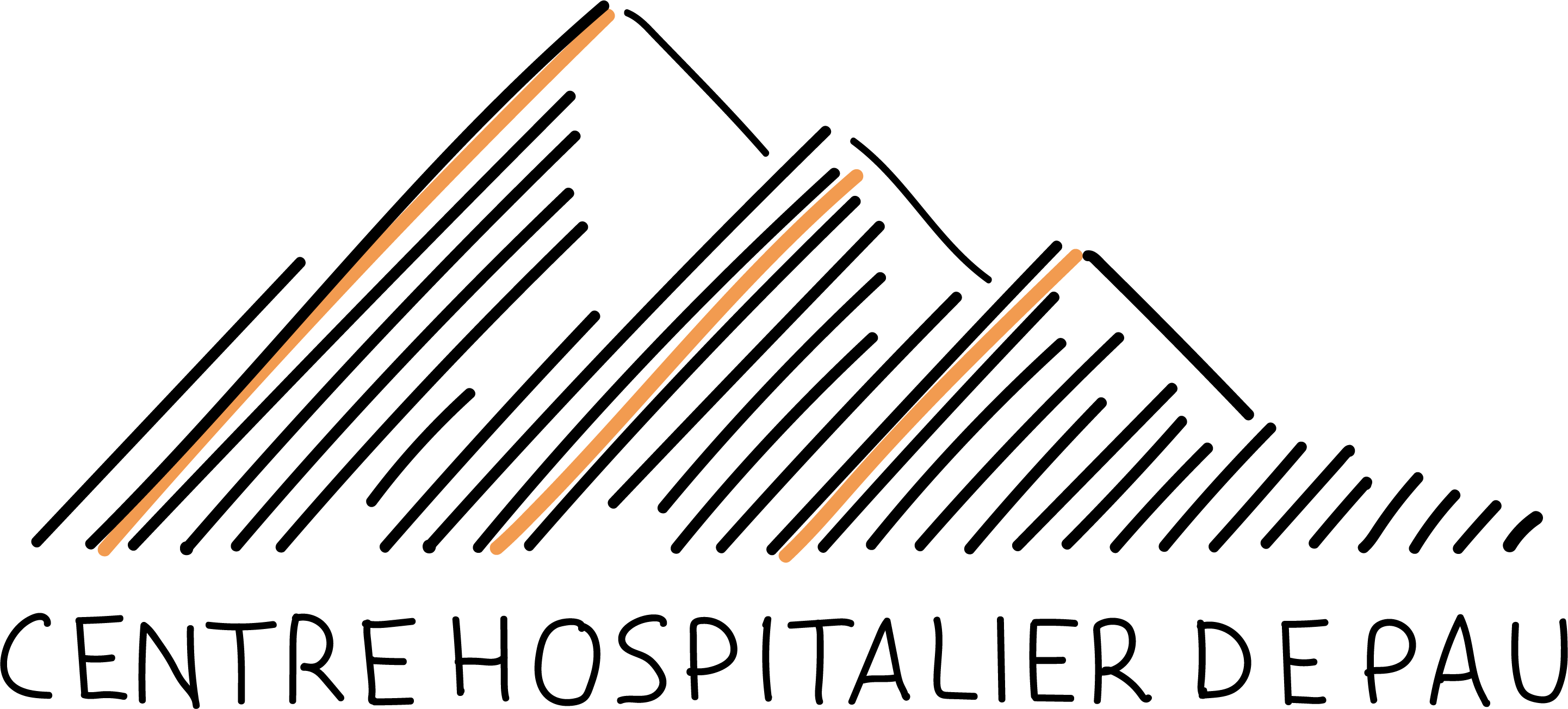 Logo du Centre hospitalier de Pau